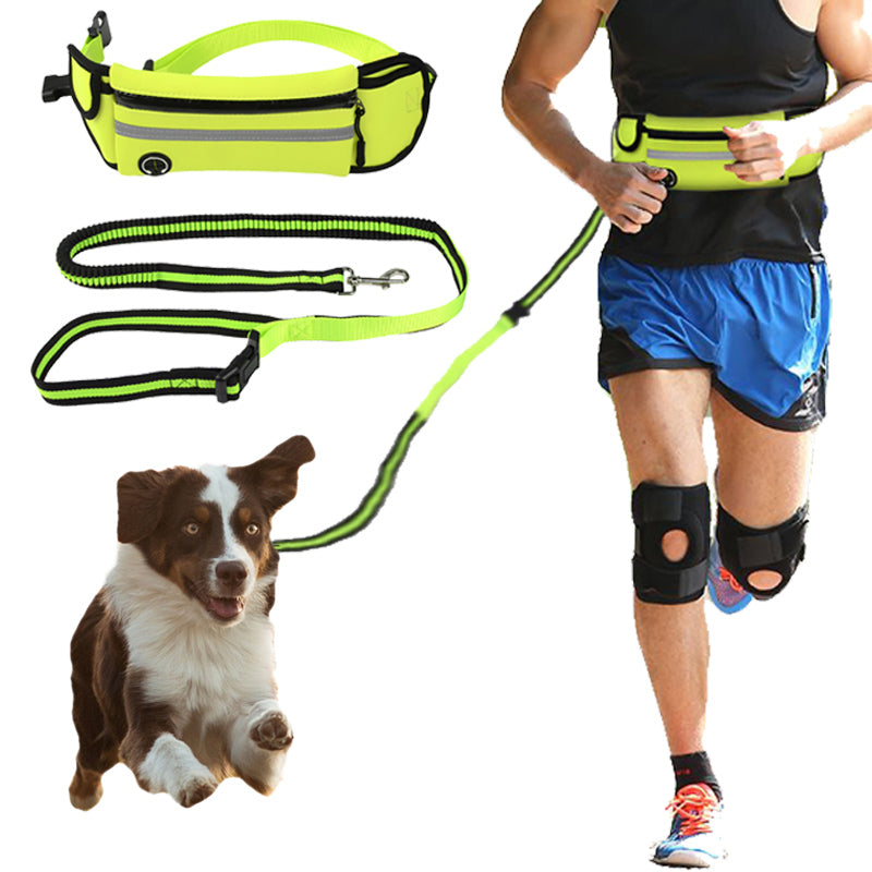 Traction Leash