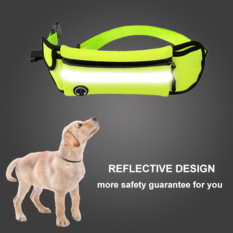 Traction Leash