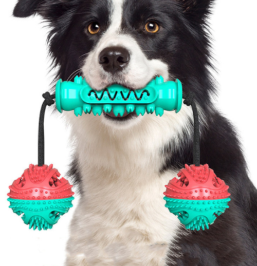 Dog Chew Toys