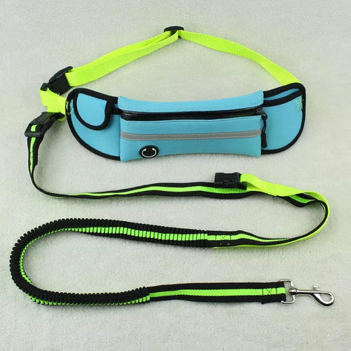 Traction Leash