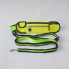 Traction Leash