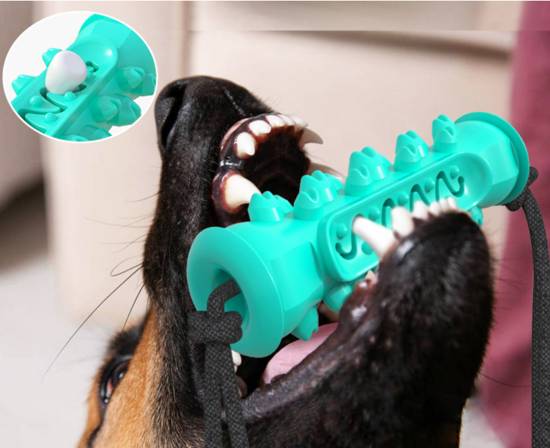 Dog Chew Toys