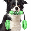 Dog Chew Toys