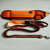 Traction Leash