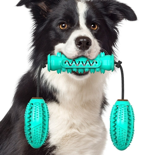 Dog Chew Toys