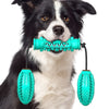 Dog Chew Toys