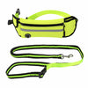 Traction Leash