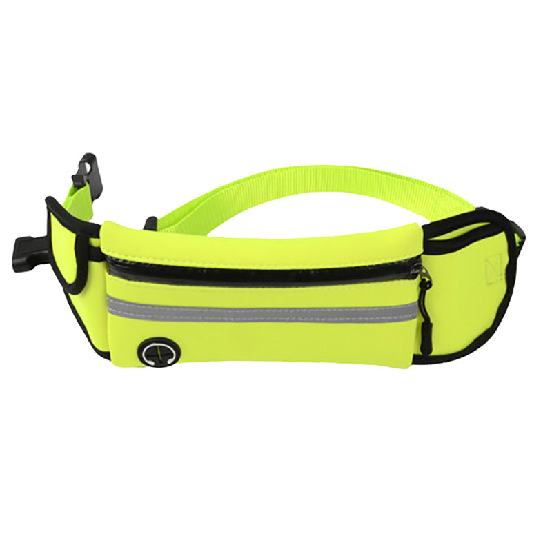 Traction Leash