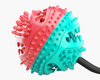 Dog Chew Toys