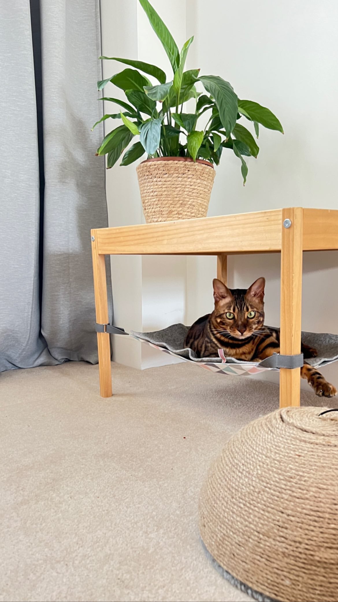 Hammock for pets
