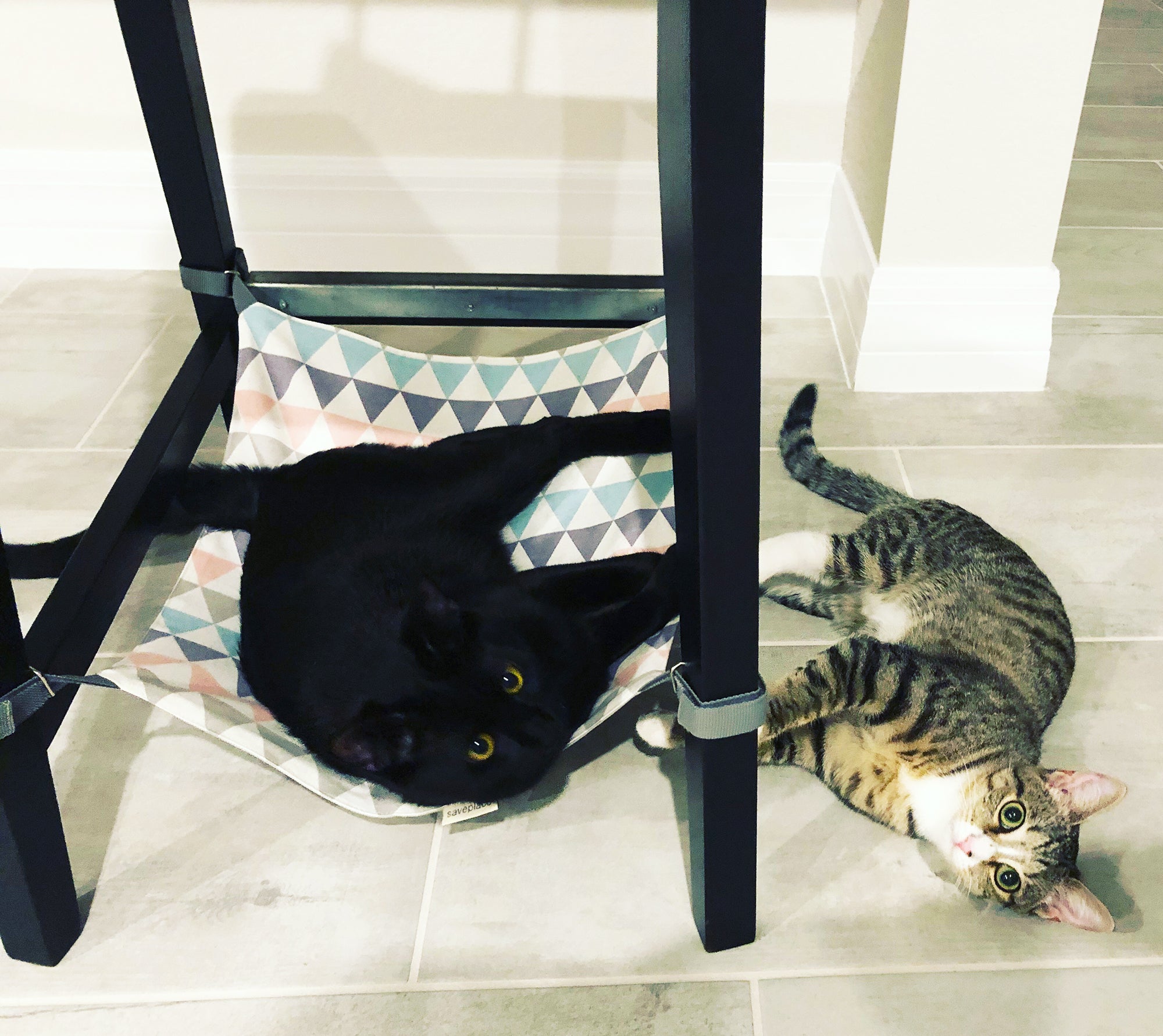 Hammock for pets