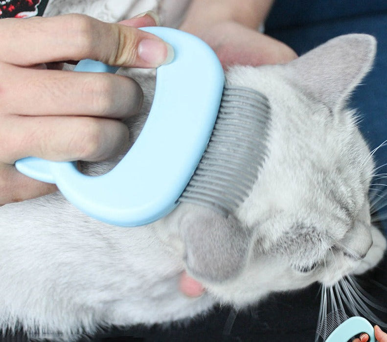 Pet Hair Massage Brush